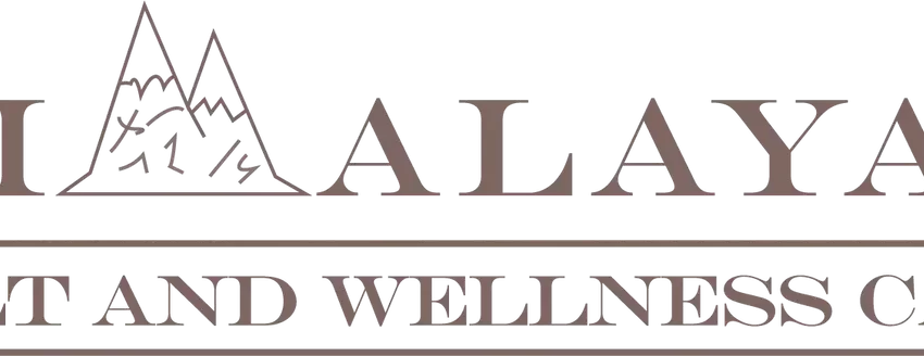 Himalayan Salt and Wellness Cave logo